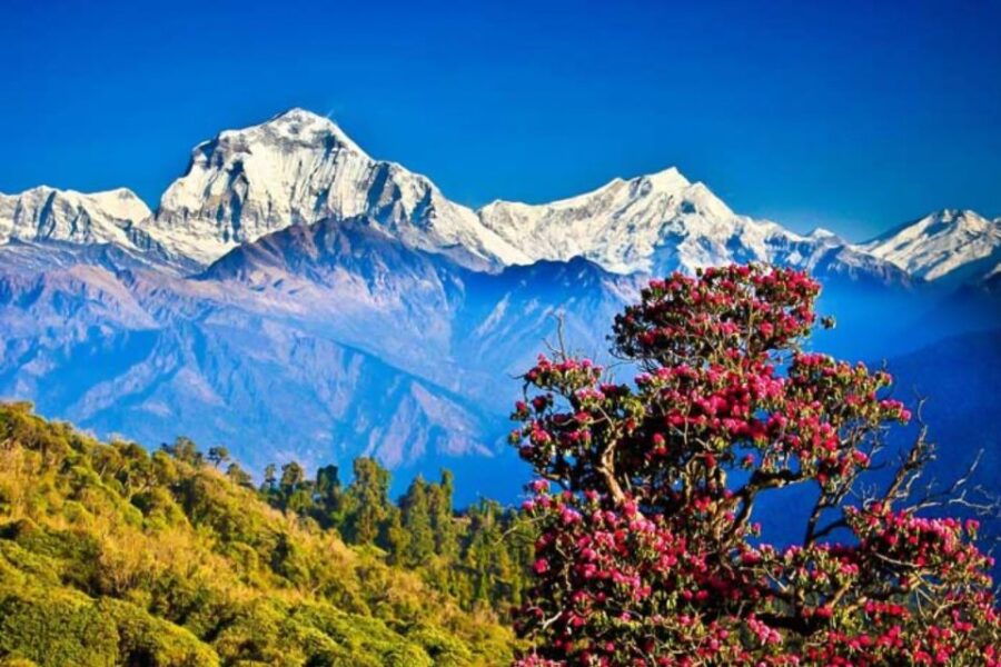 From Katmandu: 15-Day Gokyo Valley Trek With Porter