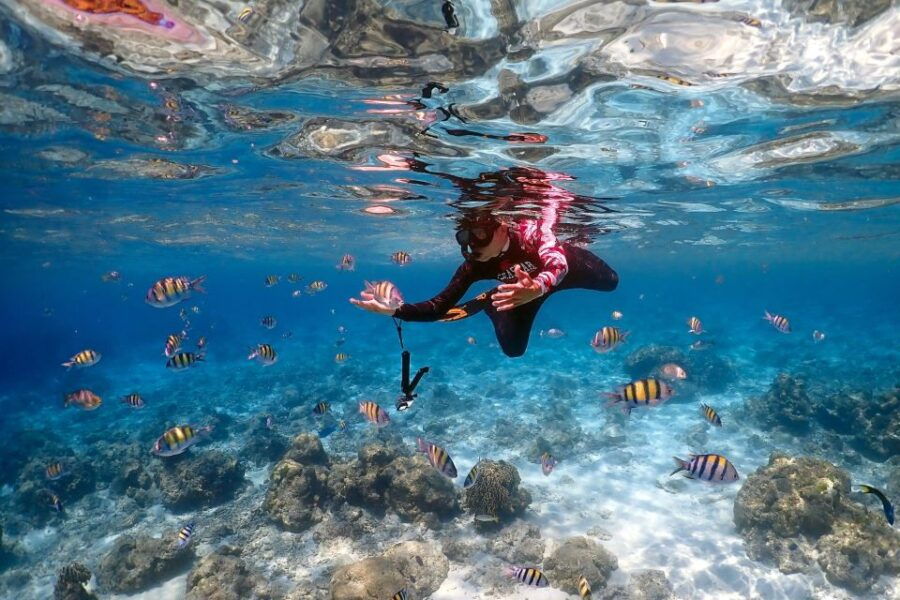 From Khao Lak: Raya Islands Speedboat Tour With Snorkel
