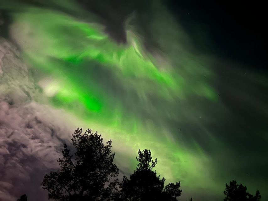 From Kiruna: Abisko National Park Northern Lights Tour