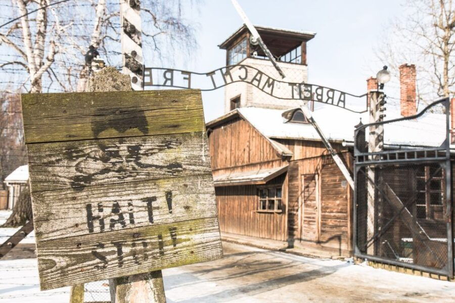 From Krakow: Auschwitz and Wieliczka Salt Mine Full-Day Trip - Good To Know
