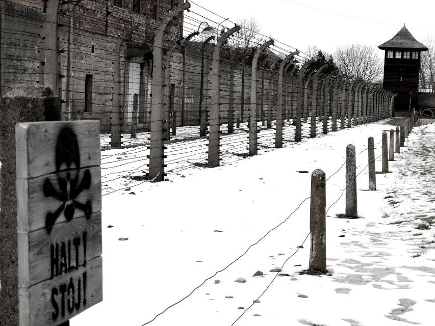From Krakow: Auschwitz-Birkenau and Wieliczka Salt Mine Tour - Good To Know