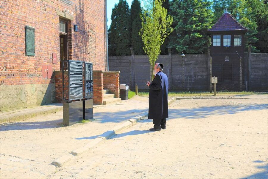 From Krakow: Auschwitz-Birkenau Full-Day Tour With Pickup - Good To Know