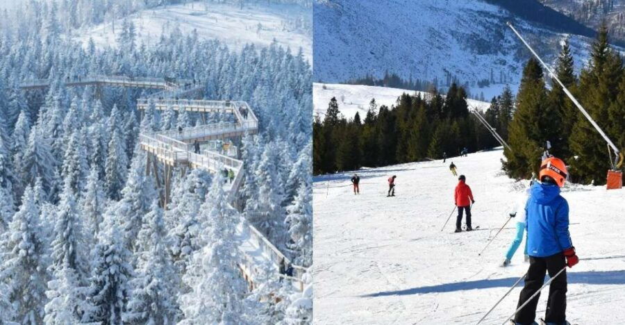 From Kraków: Slovakia Treetop Walk & 4-Hour Ski Pass - Good To Know