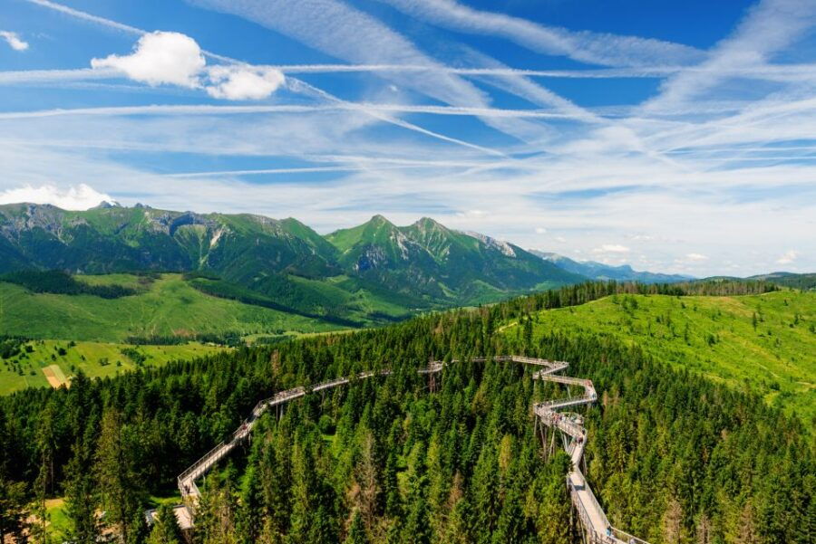 From Krakow: Slovakia Treetop Walk Bachledka Private Tour - Good To Know