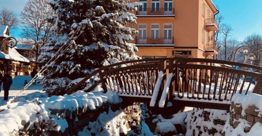 From Krakow: Snowmobiles, Zakopane and Thermal Baths - Good To Know