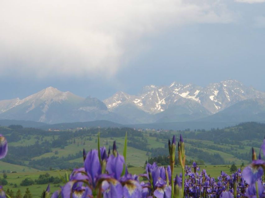 From Krakow: Zakopane and Tatra Mountains Full-Day Tour - Good To Know