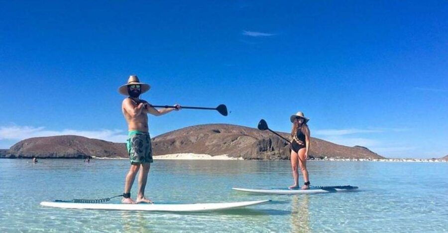 From La Paz: Espiritu Santo Island Adventure - Good To Know