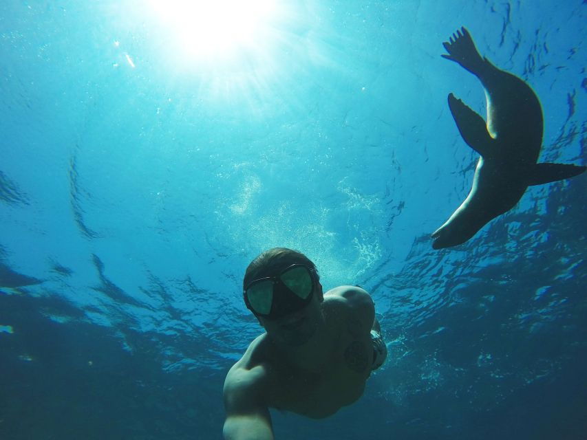 From La Paz: Swim With Sea Lions & Espíritu Santo Boat Tour - Good To Know