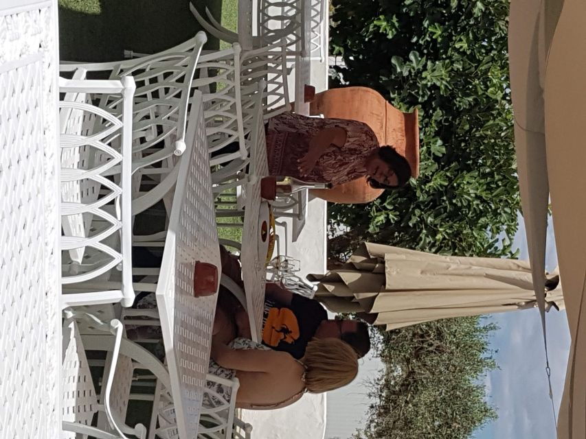 From Lagos: Private Algarve Wineries Tour With Tastings