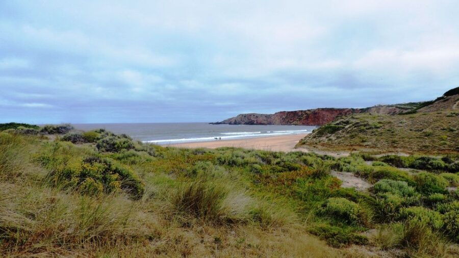 From Lagos: Private Guided Hike Along the Vicentina Coast - Good To Know