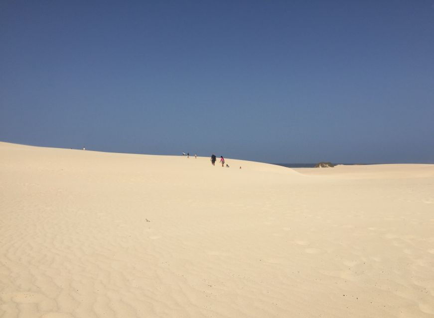 From Lanzarote: Fuerteventura Day Trip - Good To Know