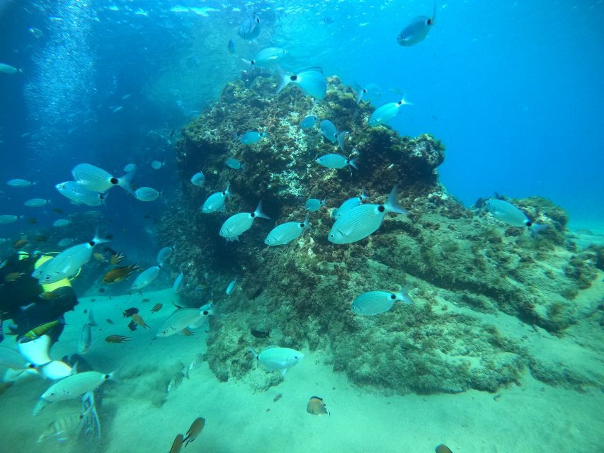From Lanzarote: Introductory Adventure Dive at 6 Meters