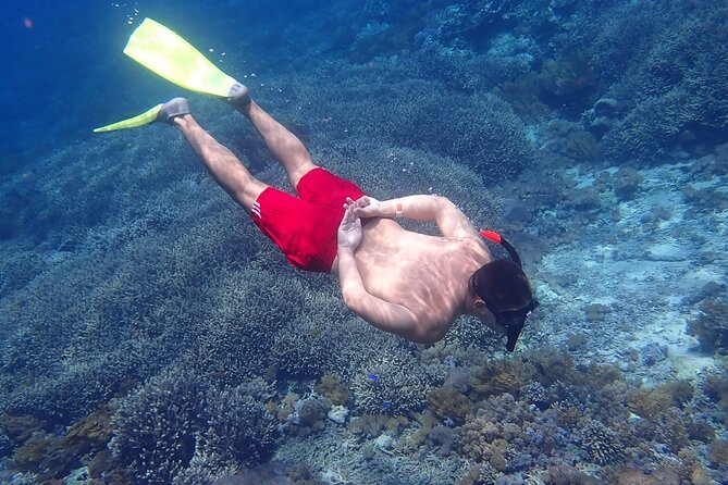 7 Best Snorkeling Experiences In Nusa Lembongan