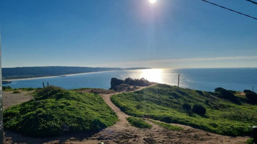 From Lisbon: Alentejo Tour (Évora and Monsaraz) - Good To Know