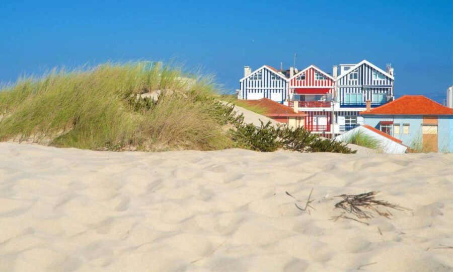 From Lisbon: Aveiro, Moliceiro Boat and Coimbra Tour