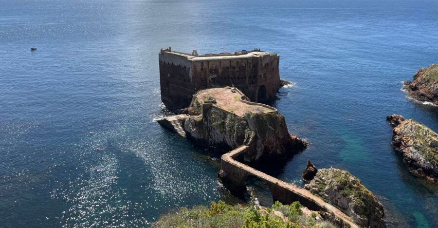 From Lisbon: Berlenga Grande Sightseeing Tour