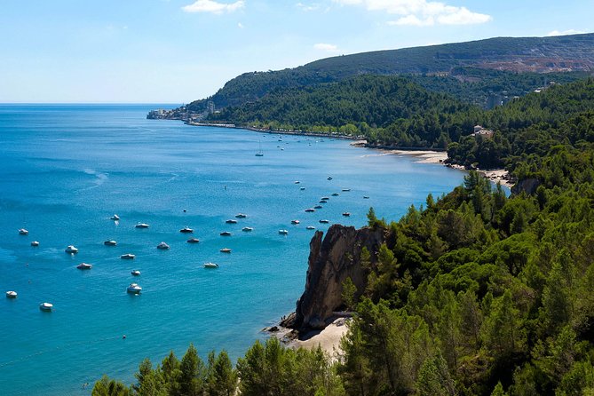From Lisbon: Cristo Rei, Arrabida & Setubal Full-Day Private Tour - Good To Know
