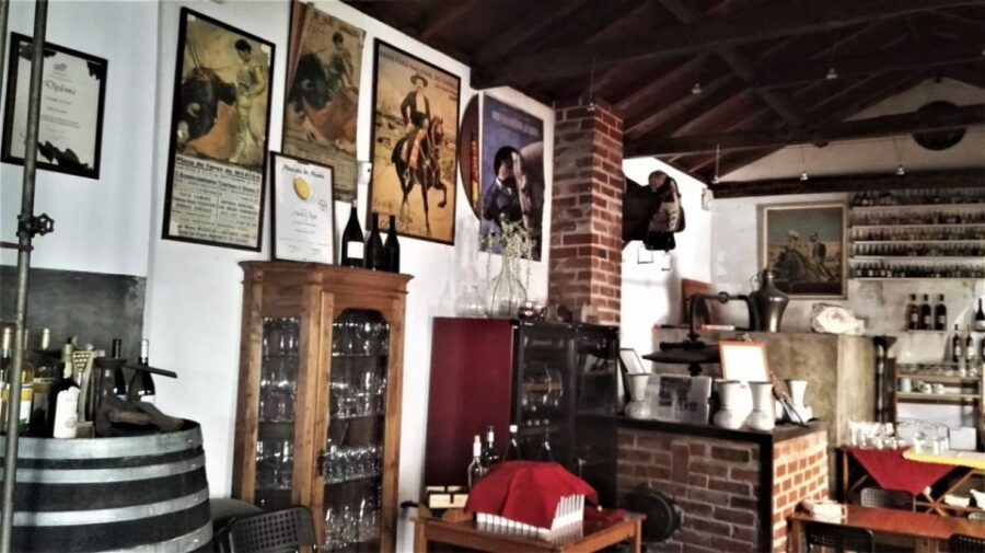 From Lisbon: Palmela Wine Tasting Tour With Snacks
