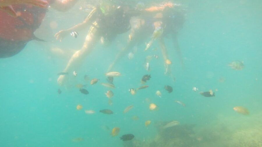 From Lombok: Southern Gilis Private Snorkelling Day Trip