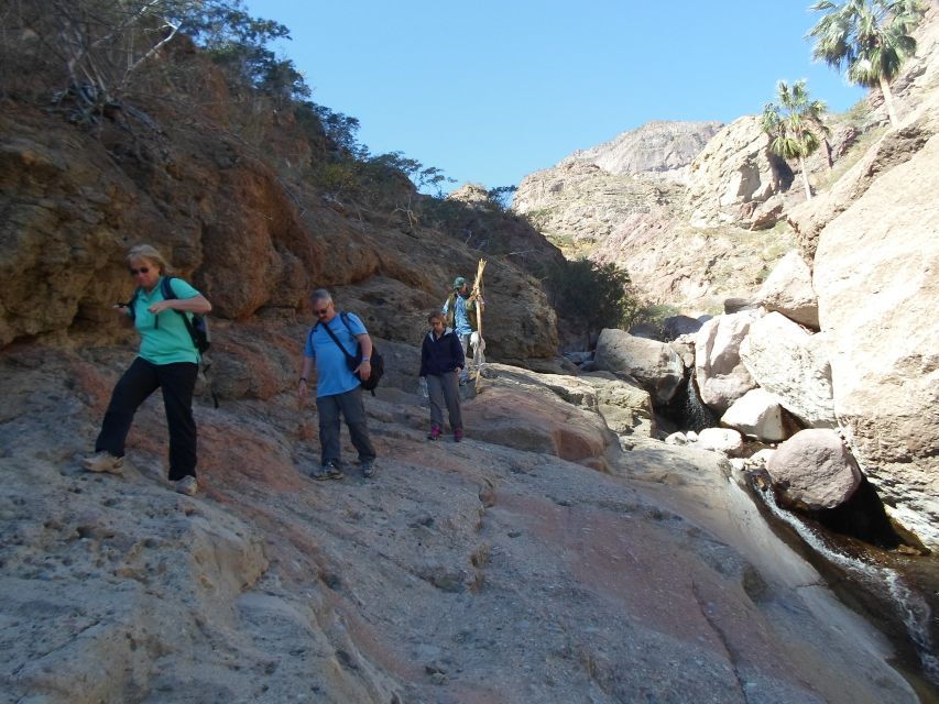 From Loreto: Tabor Canyon Guided Hike - Good To Know