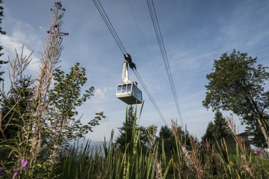 From Lucerne: Mount Rigi Day Trip With Cruise and Cable Car - Good To Know