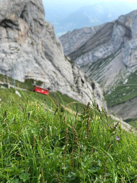From Lucerne: Mt. Pilatus and Lake Lucerne Private Tour
