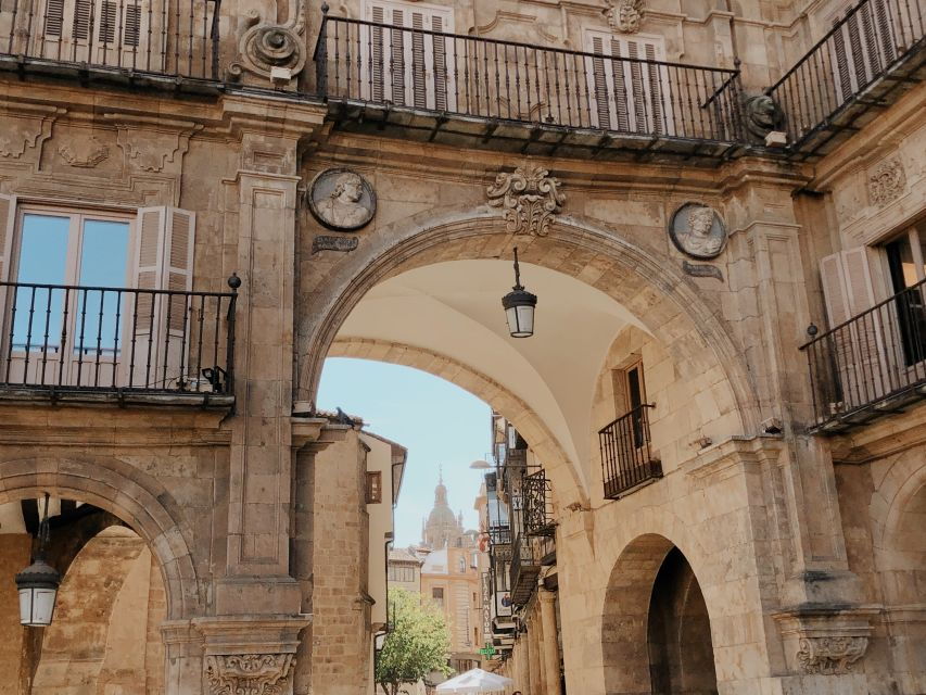 From Madrid: Day Trip to Salamanca With Private Tour - Good To Know