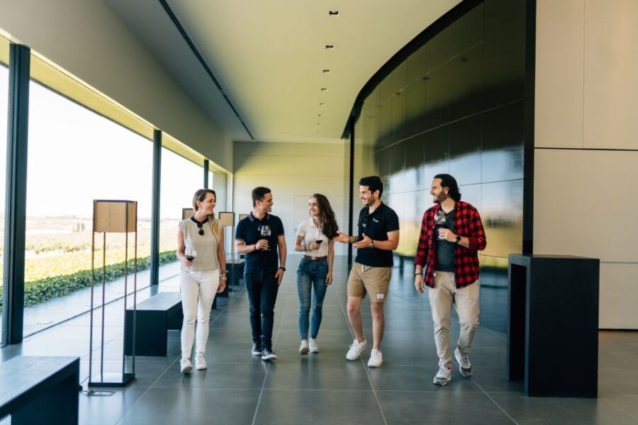 From Madrid: Ribera Del Duero, Peñafiel, and 2 Top Wineries - Good To Know