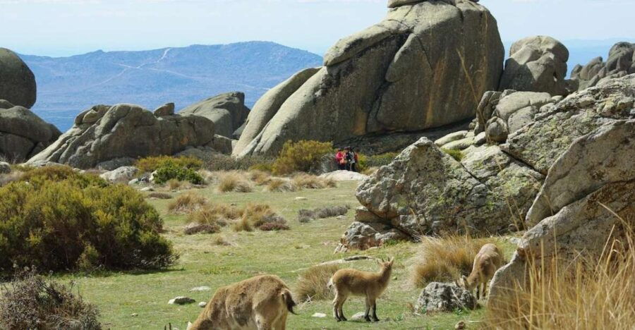 From Madrid: Sierra De Guadarrama Hiking Day Trip - Good To Know