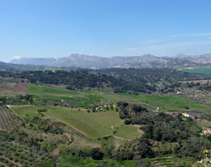 From Malaga: Private Transfer Malaga Airport to Puerto Banus - Good To Know