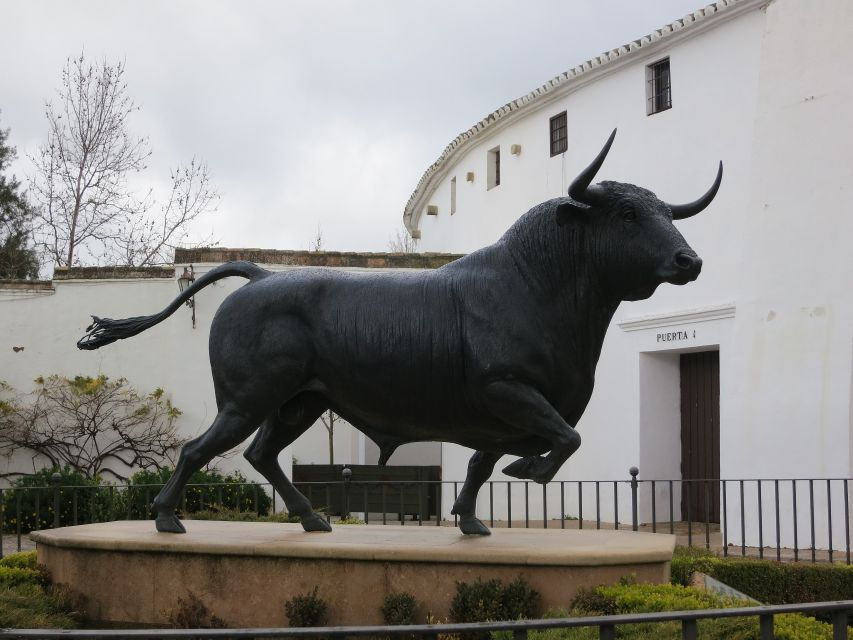 From Malaga: Ronda Private Guided Day Trip & Bullring Entry - Good To Know