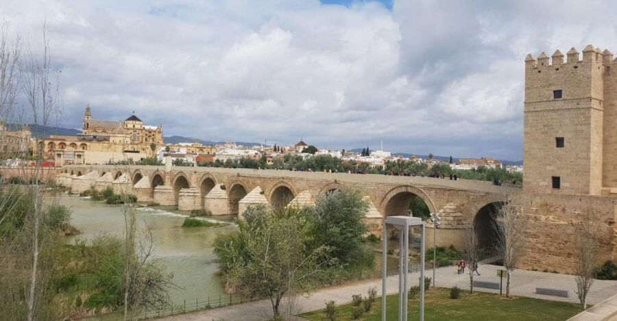 From Málaga: Roundtrip Transfer to Cordoba - Good To Know