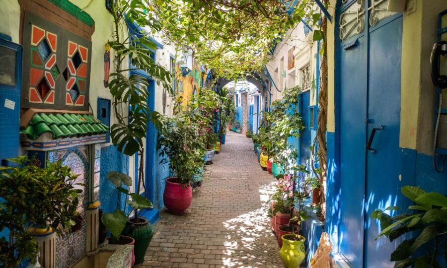 From Malaga: Tangier Private Day Trip With Ferry Tickets