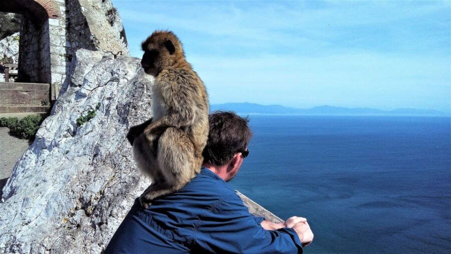From Marbella: Guided Private Trip to Gibraltar and Estepona
