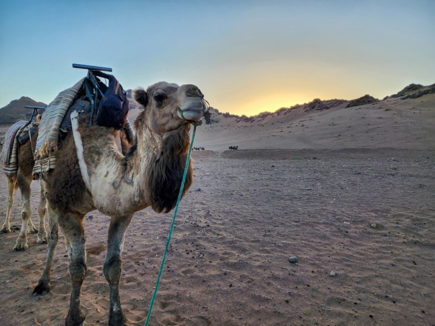 From Marrakech: 2-Day Trip to Zagora Desert With Berber Camp - Good To Know