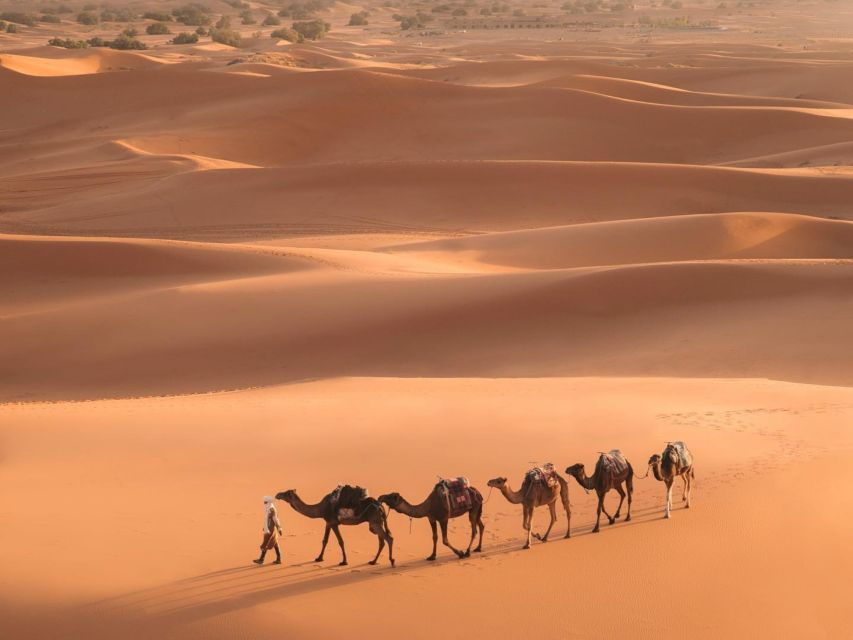 From Marrakech: 3-Day Merzouga and Sahara Desert Tour - Good To Know