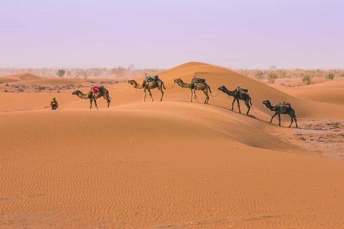 From Marrakech: 3 Days Desert Tour To Merzouga Camp & Camel Trek - Good To Know