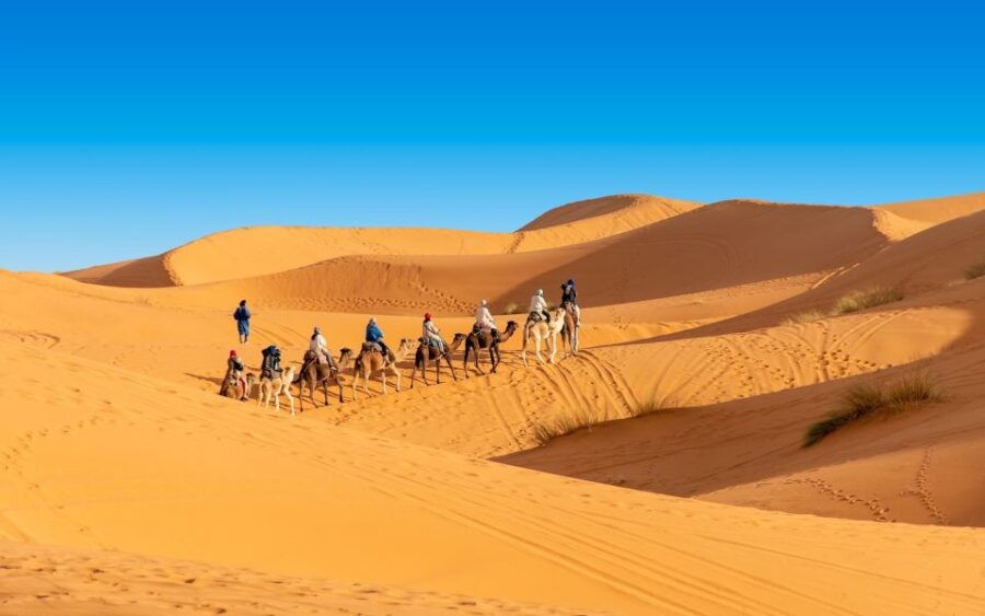 From Marrakech : 6 Days Sahara Desert Tour & Camel Ride - Good To Know