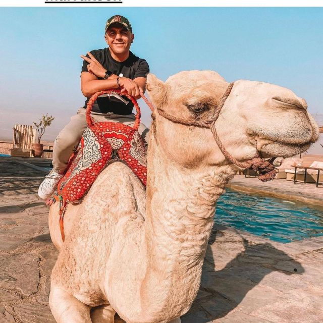From Marrakech Agafay Pro Pack Sunset Camel Ride & Dinner - Good To Know