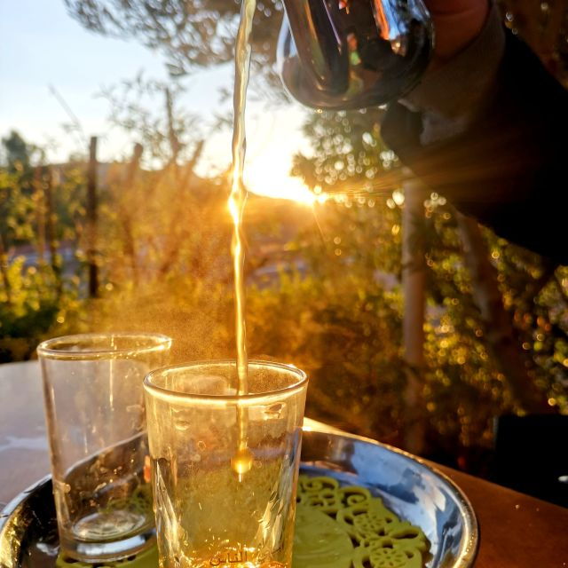 From Marrakech : Atlas Mountain, Berber Villages, Day Trip - Good To Know