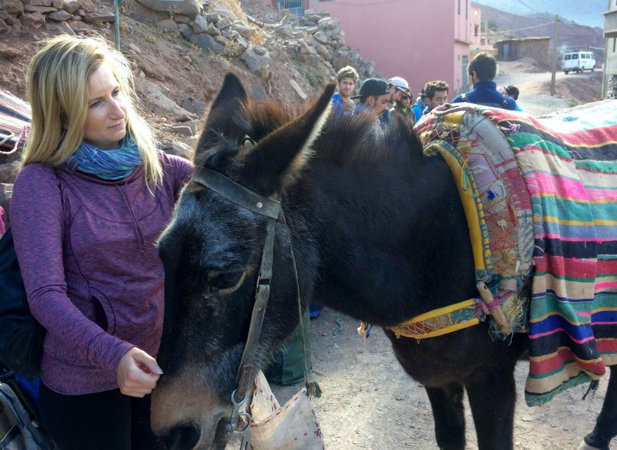 From Marrakech: Atlas Mountains Day Tour With a Guide - Good To Know