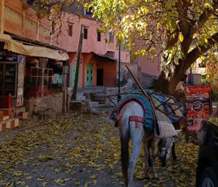 From Marrakech: Atlas Mountains Horse Riding Tour With Lunch - Good To Know