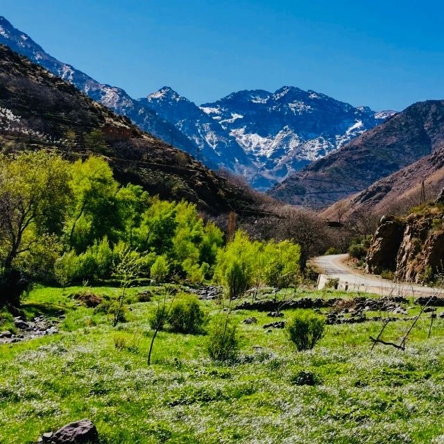 From Marrakech: Atlas Mountains & Toubkal Museum Day Tour - Good To Know