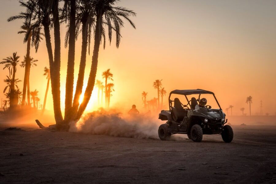 From Marrakech : Buggy Ride in the Palm Groves-Desert - Good To Know