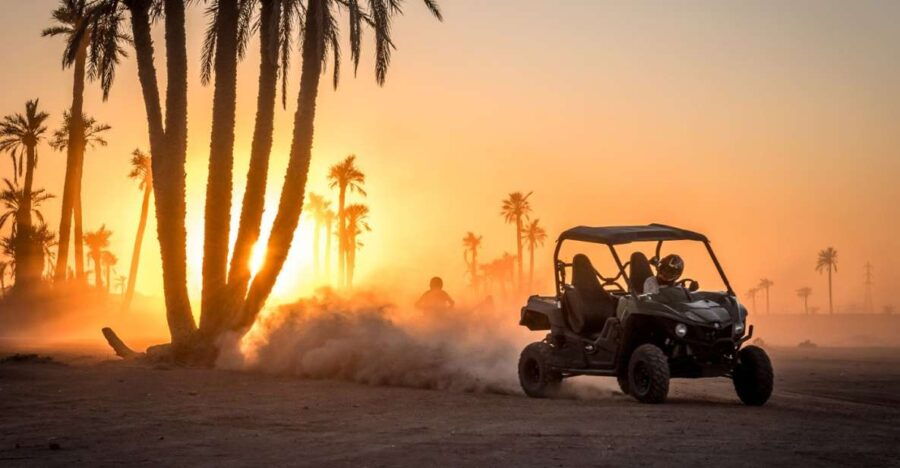 From Marrakech : Buggy Ride in the Palm Groves - Good To Know