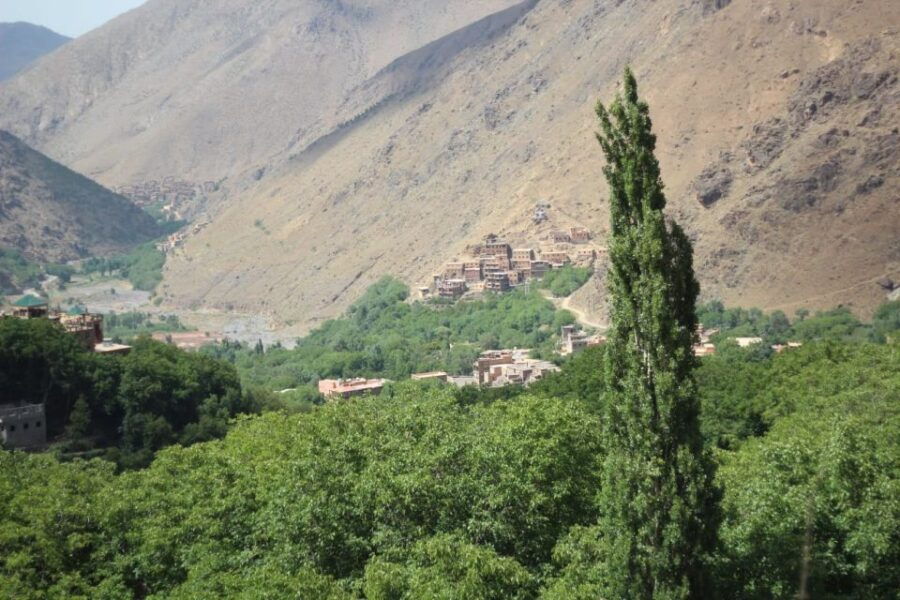 From Marrakech Day Trip Berber Valleys Waterfall &Desert - Good To Know
