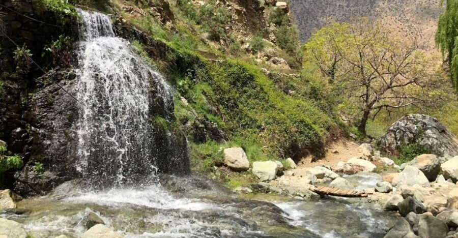 From Marrakech: Day Trip to Ourika Valley - Good To Know