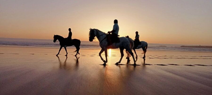 From Marrakech: Essaouira Full-Day Trip
