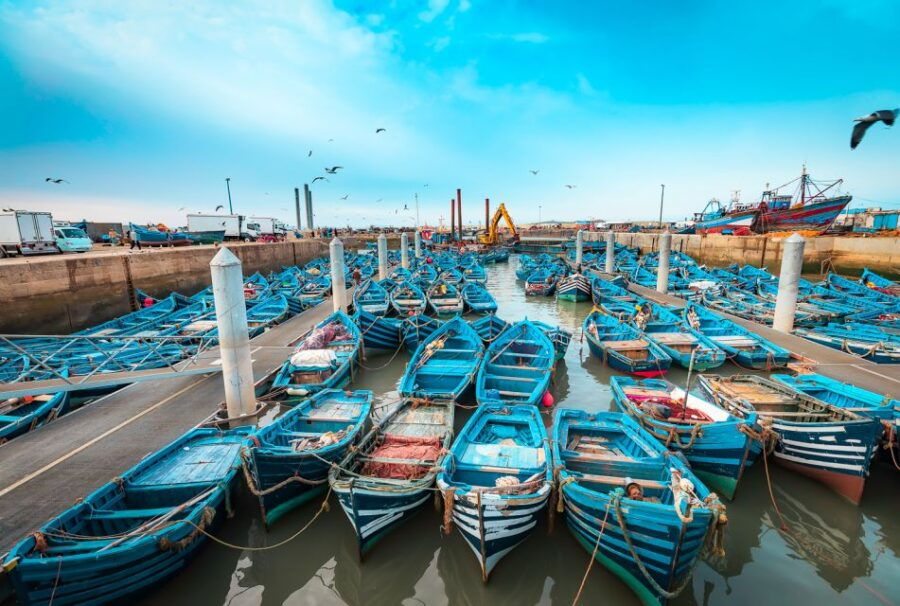 From Marrakech: Essaouira Private Full-Day Trip - Booking Details