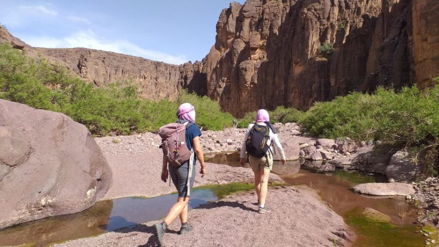 From Marrakech : Explore the Stunning Jbel Saghro